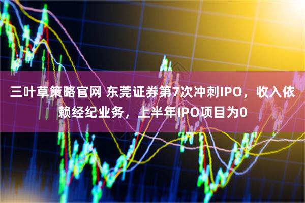 三叶草策略官网 东莞证券第7次冲刺IPO，收入依赖经纪业务，上半年IPO项目为0