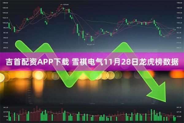 吉首配资APP下载 雪祺电气11月28日龙虎榜数据