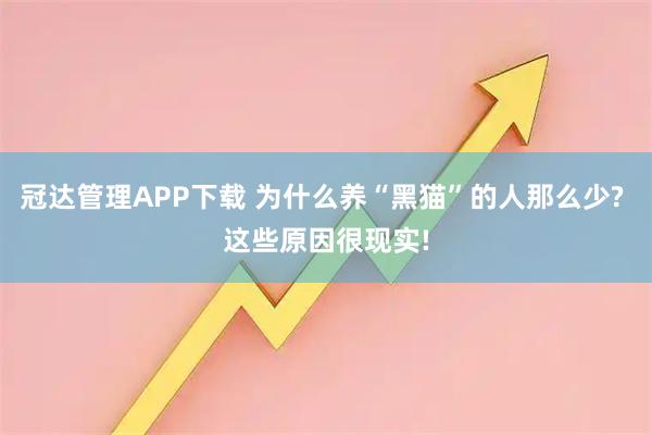 冠达管理APP下载 为什么养“黑猫”的人那么少? 这些原因很现实!